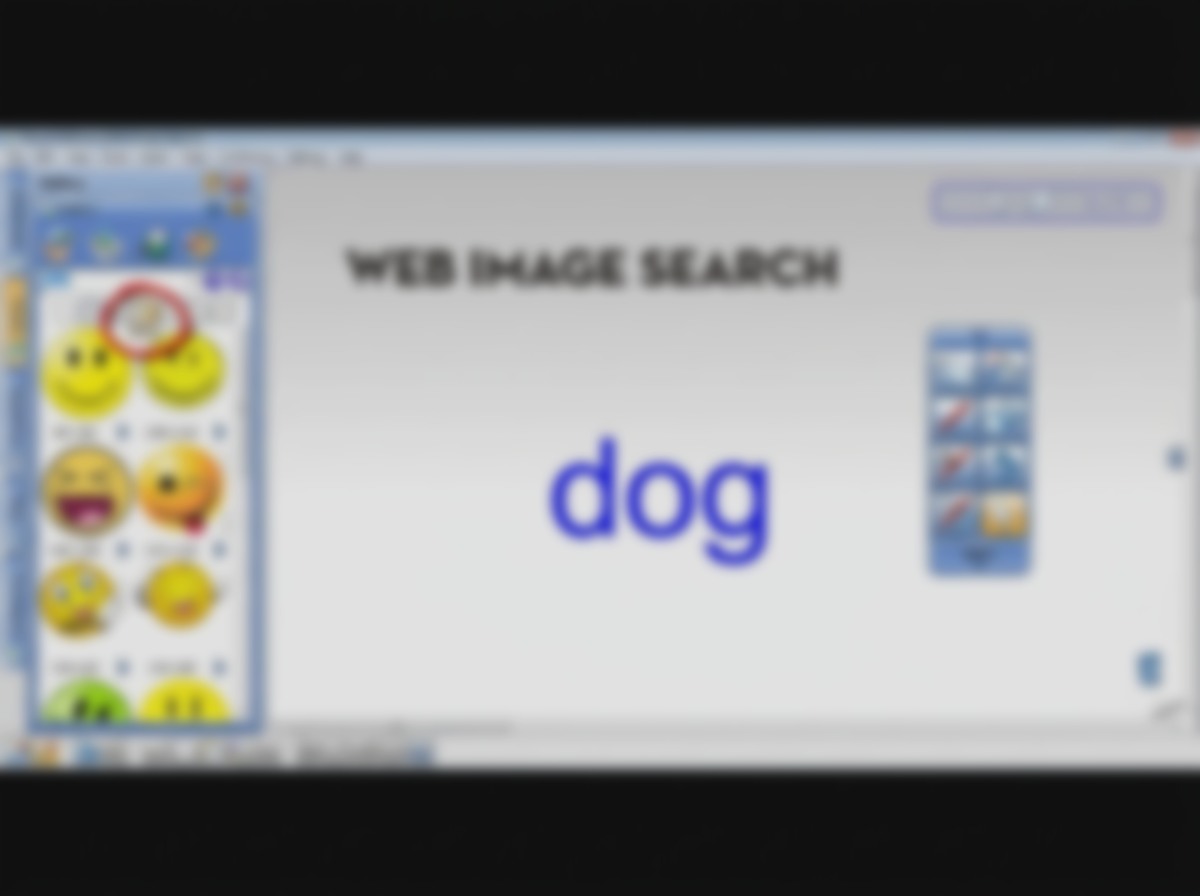Web Image Search